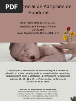 La Ley Especial de Adopción de Honduras 