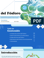 Ciclo Del Fósforo