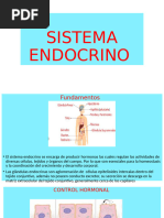 Sistema Endocrino