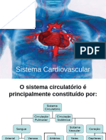 Sistema Cardiovascular