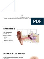 The Ear Is The Organ of Hearing. It Plays An Important Role in Maintaining The Balance (Equilbrium) of The Body