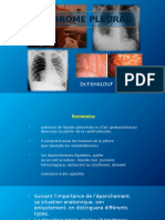 G2 TD01. Syndrome Pleural (Modifié Avec Interprétations)