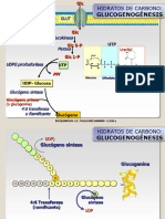 Clase 4 BIOQUIMICA II