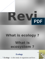 Food Chains & Food Web