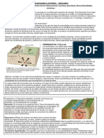 Geodinámica Interna - Resumen