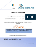 Rapport de Stage Hafsa Bahmidi