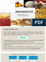 CARBOHIDRATOS