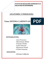 Sistema Cardiovascular. GRUPO 3