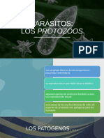 Parásitos 1 (Protozoos 1)