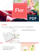 Flor y Fruto (Polinización y Fecundación)