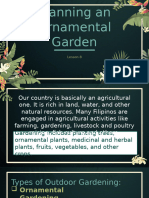 Lesson 8 - Planning An Ornamental Garden Q2