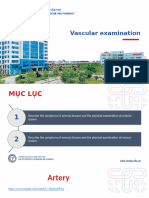 Vascular Examination