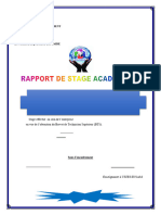 Rapport TIMENE - 110408