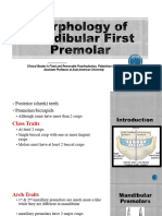 Lec#4 (Morphology of Mandibular First Premolar)