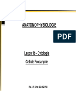 1b Aula - Cytologie Cellule Procaryote