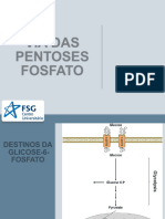 Aula Via Pentoses Fosfato 2022 2