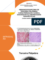 Hemangiossarcoma de Terceira Pálpebra Oficial