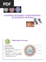 Togavirus. Rotavirus. SARS-CoV2