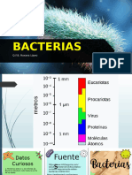 Bacterias