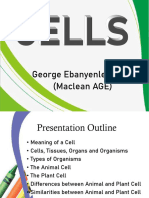 Cells PowerPoint 