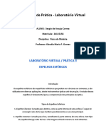 Relatório Laboratório Virtual - Pratica II (Espelhos Esféricos) - Fisica Da Materia