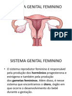 Sistema Genital Feminino