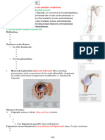 Arthrologie Du Membre Supérieur: (Glenoid Cavity) (Head of Humerus)