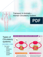 Transport in Animals - Circulartory System