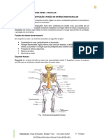 Unidade Temática 2 Sistema Ósseo Muscular