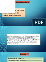 Proyecto Integrado Manejo y Control Del Trips en La Produccion Del Cultivo de Habichuelas