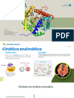 Actividad N2° - CINETICA ENZIMATICA - Bioquímica General - IIA - UNJ - CICLO II - 2024actividad N2° Bi