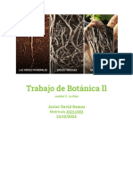 Trabajo de Botanica