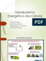 Aula 6 - Metabolismo em Organismos Vivos