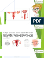 Aula 3 Reprodução Saúde Da Mulher