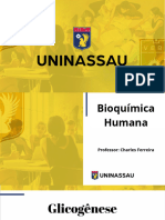 Bioquímica Humana - Metabolismo e Ciclo de Krebs Aula 10