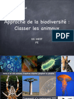 M1 PE TD Classification Phylogénétique Réduit