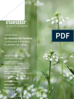 Cueillir, Nourir, Soigner 03.2023 Le Chemin Des Herbes