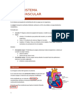 Tema 2-Sistema Cardiovascular