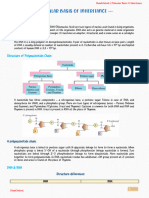 6.molecular Basis of Inheritance