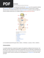 Système Endocrinien - Wikipédia