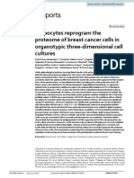 Adipocytes Reprogram The Proteome of Breast Cancer Cells in Organotypic Three-Dimensional Cell Cultures