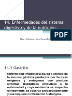 14 Enfermedades Del Sistema Digestivo