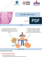 Slides Tecido Nervoso 2023-2