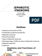 Nephrotic Syndrome