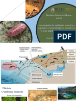 Aula 11 - A Conquista Do Ambiente Terrestre e Aquático Continental Pelos Crustáceos e Suas Implicações Filogenéticas