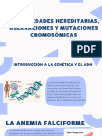 Enfermedades Hereditarias