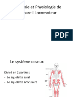 Cours Système Locomoteur