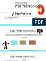 Sindrome Nefrótico y Nefrítico - OB Lista