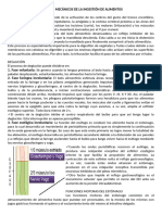 Aspectos Mecánicos de La Ingestión de Alimentos