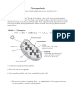  11 Photosynthesis